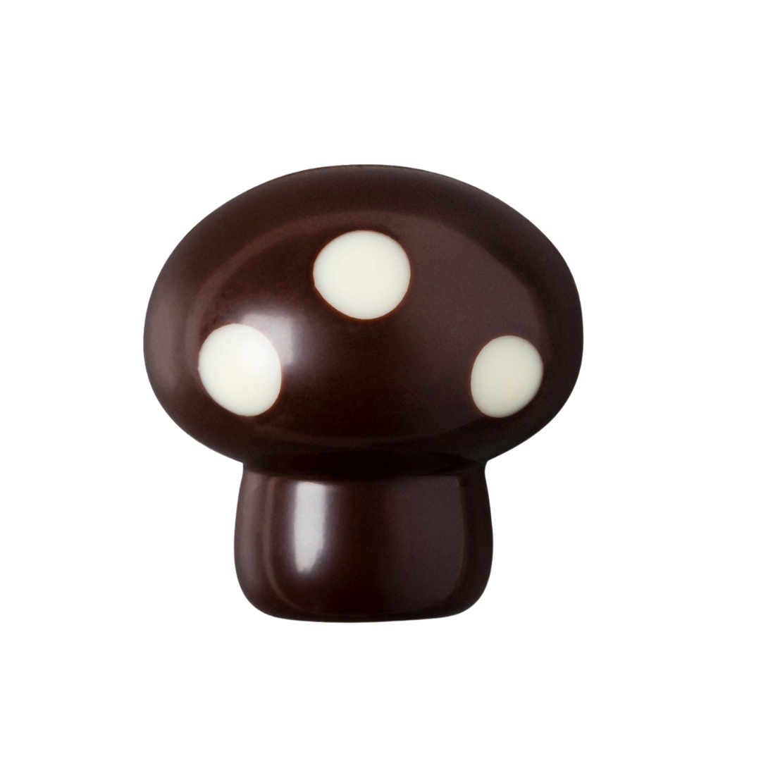 Champignon mousse au chocolat