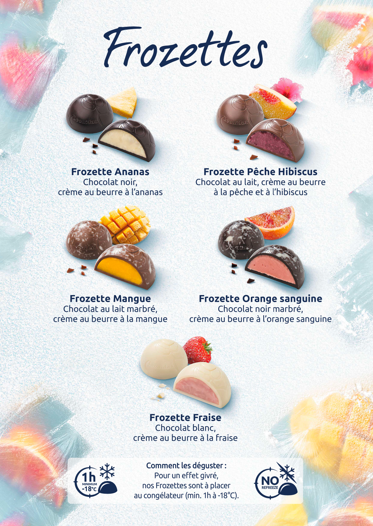 Boite de 16 Frozettes