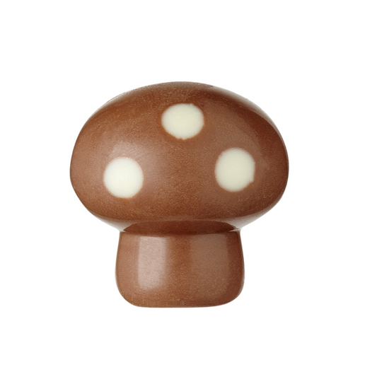 Champignon caramel brésilienne