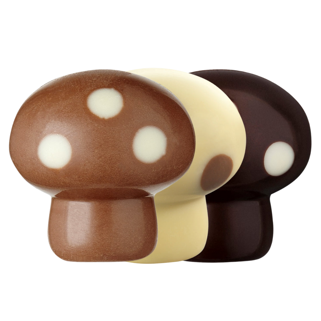 Mix Champignons