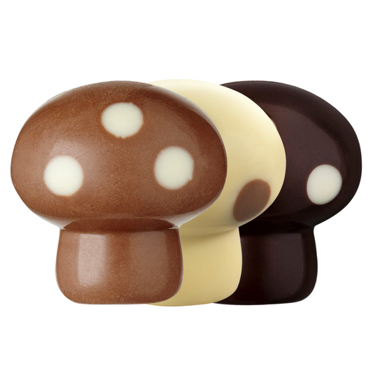 Mix Champignons